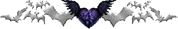 silver bats and purple heart with bat wings divider