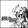 alice in wonderland what a curious dream